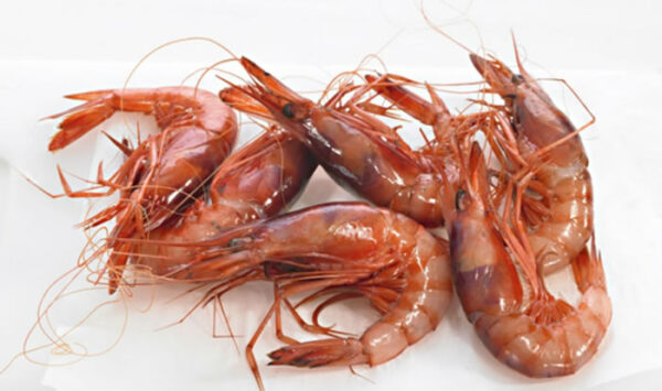 Gambas