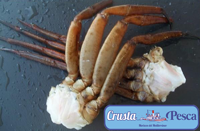 Crustapesca – Distribuidor de Mariscos y Pescados en Madrid